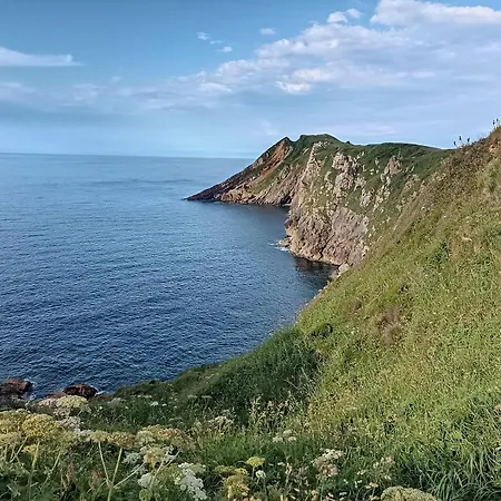 Candelas - Primoriu Orena