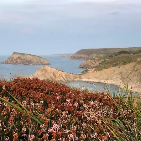 Candelas - Primoriu Orena